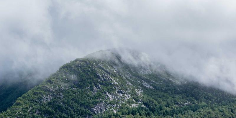 云原生网络服务网格深度对决:Istio与Linkerd的流量治理与安全策略全解析